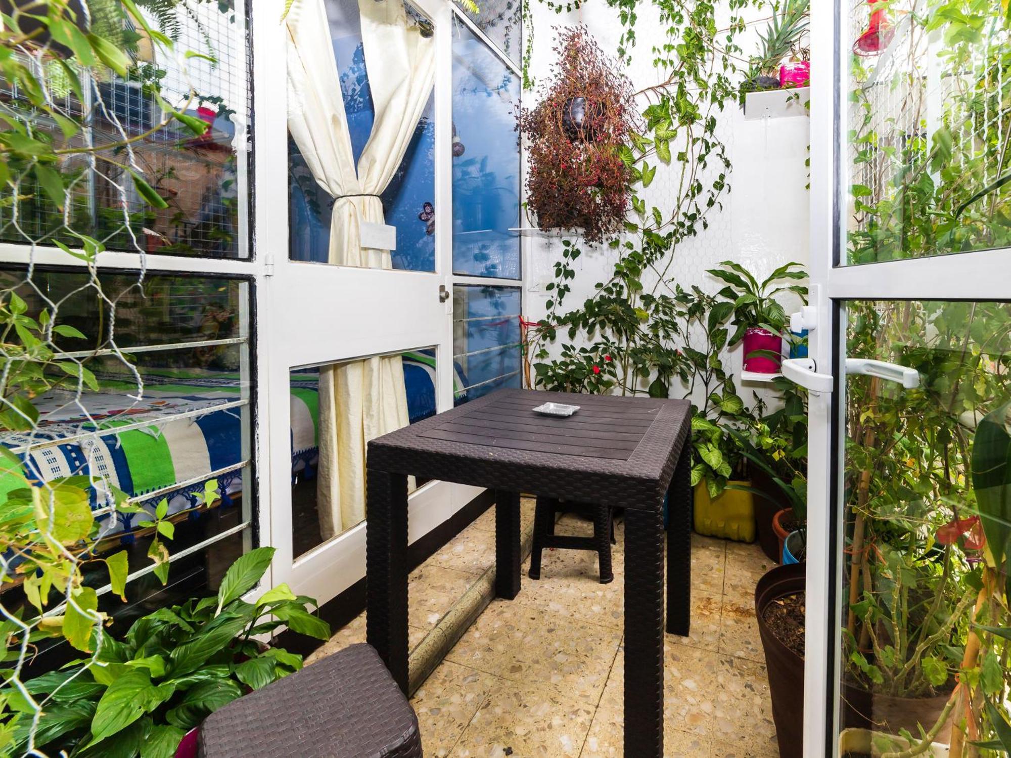 Casa Itzae B&B Polanquito Dog Friendly Мехико Экстерьер фото