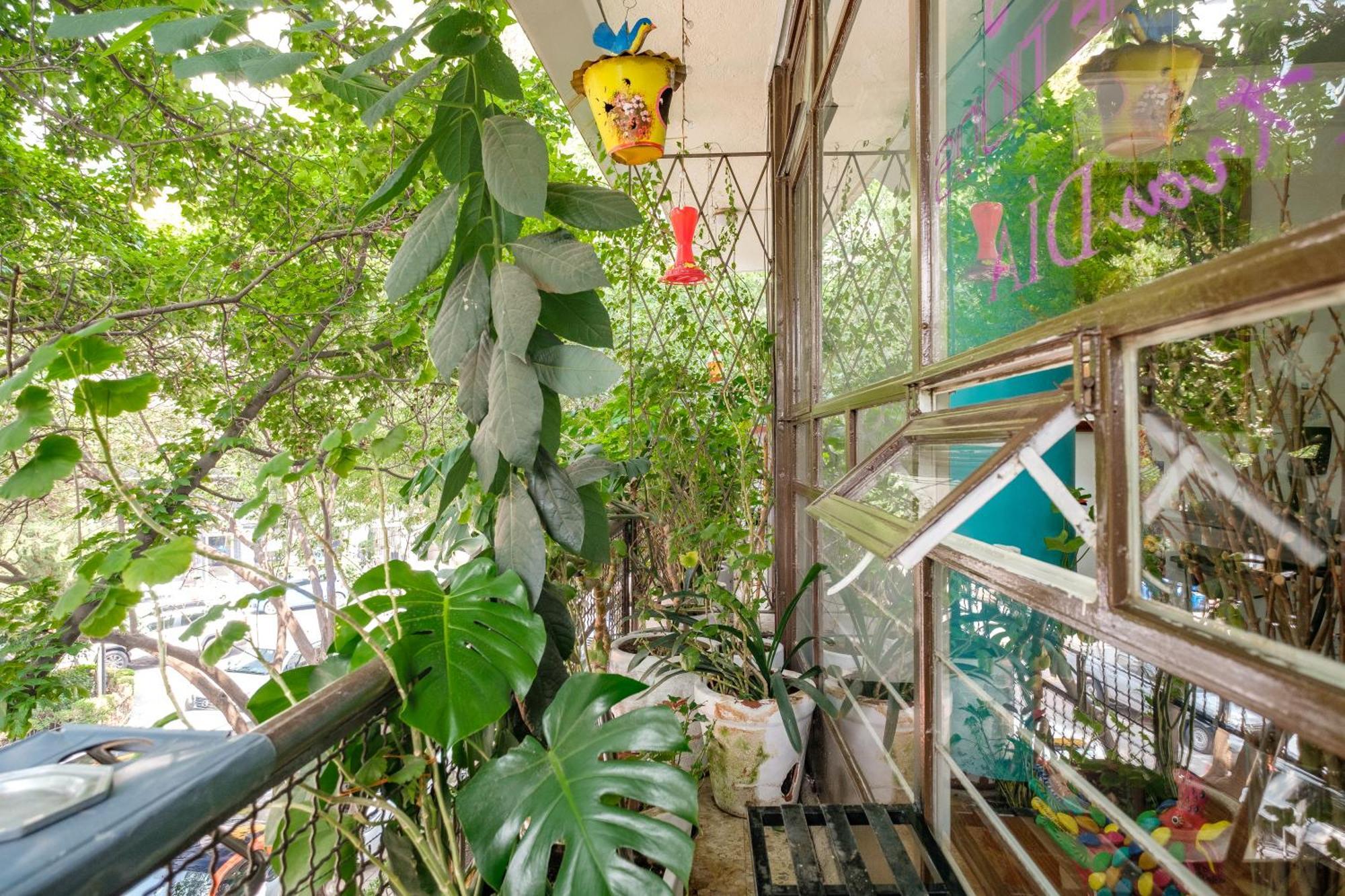 Casa Itzae B&B Polanquito Dog Friendly Мехико Экстерьер фото